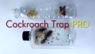 Cockroach Trap PRO